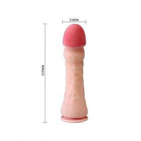 Penis_dildo__D00_51c9dbdc45f04.jpg